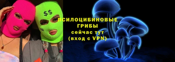 a pvp Няндома